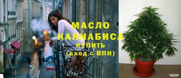 метадон Тавда