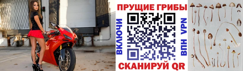 Псилоцибиновые грибы MAGIC MUSHROOMS  Новочебоксарск 